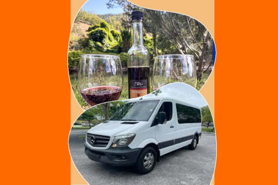 private-function-bus-charter-byron-bay
